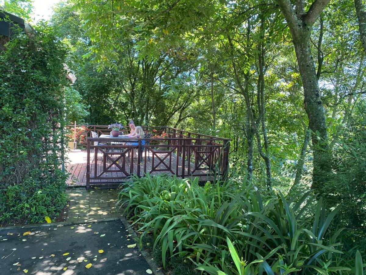 Cabbage Tree Cottage Hilton Exterior foto